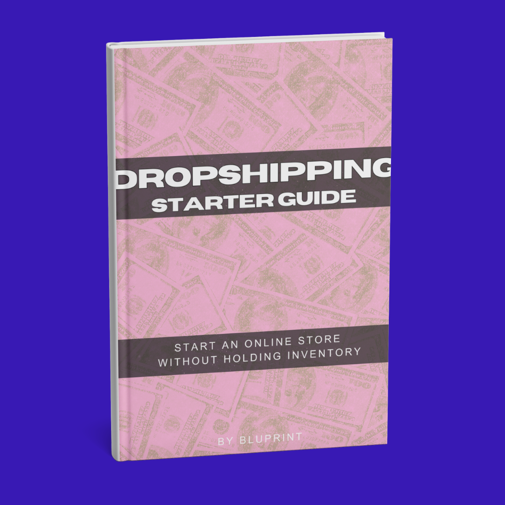 DROPSHIPPING STARTER GUIDE EBOOK
